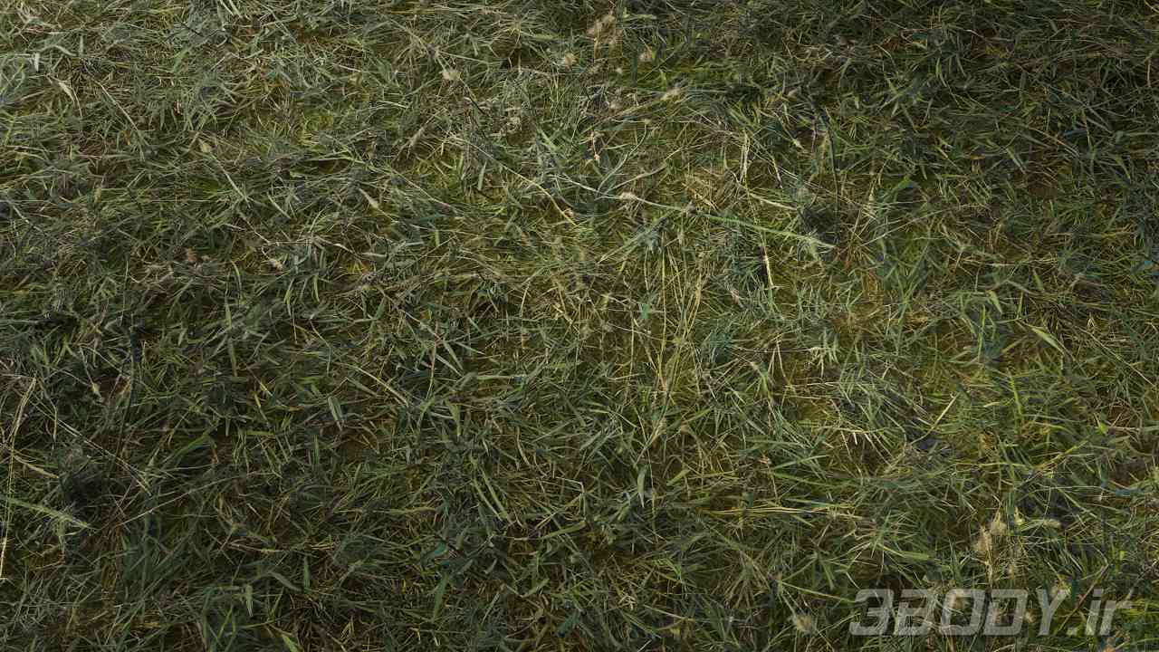 متریال چمن uncut grass عکس 1